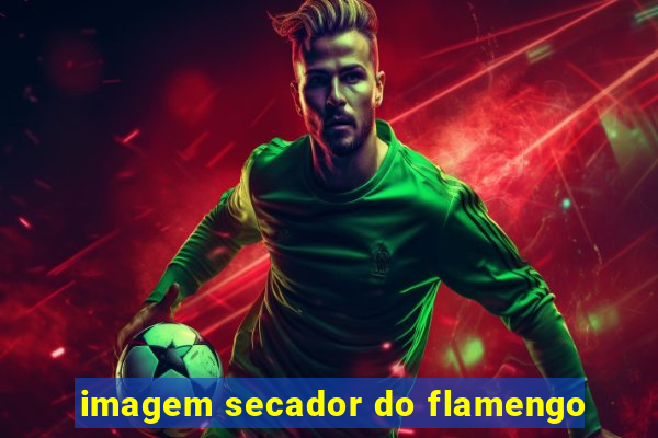 imagem secador do flamengo