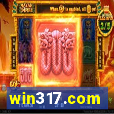 win317.com