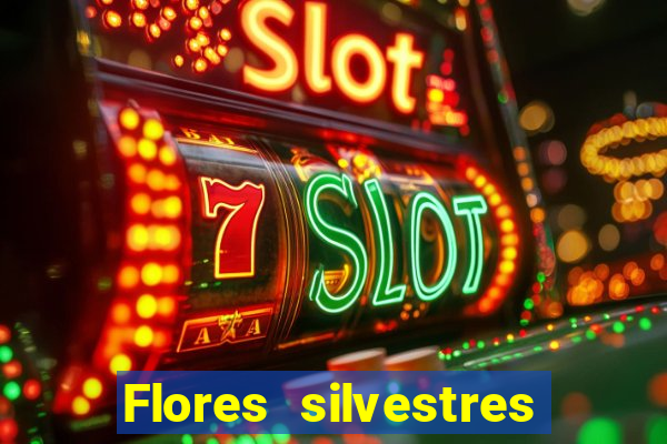 Flores silvestres brasileiras 25