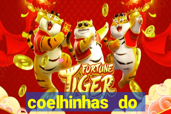 coelhinhas do brasil site