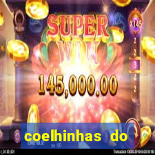 coelhinhas do brasil site