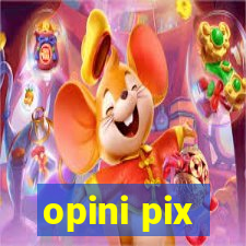 opini pix