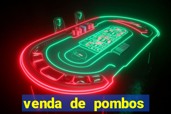 venda de pombos correios olx