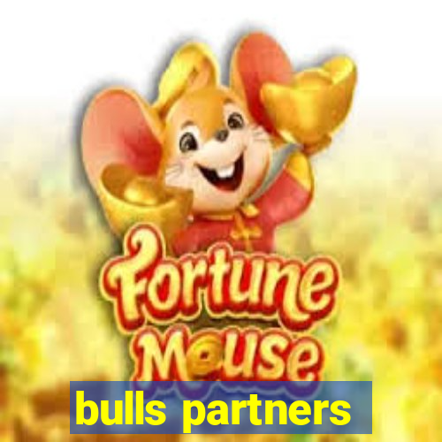 bulls partners