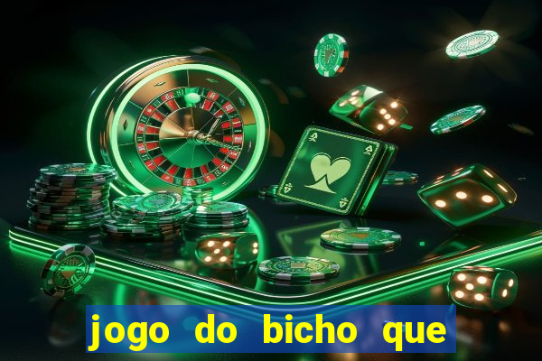 jogo do bicho que paga no pix