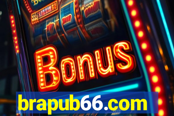 brapub66.com