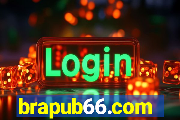 brapub66.com