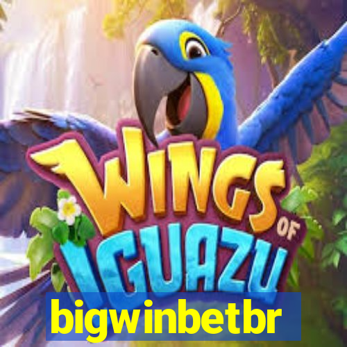 bigwinbetbr