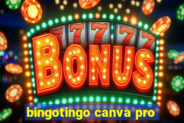 bingotingo canva pro