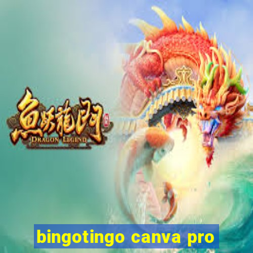 bingotingo canva pro