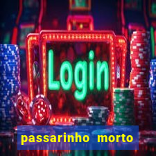 passarinho morto significado espiritual