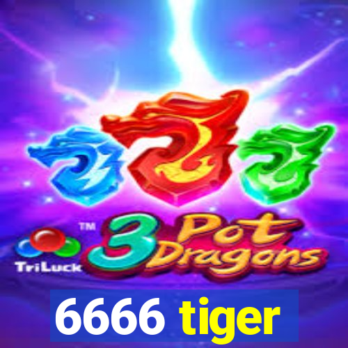 6666 tiger