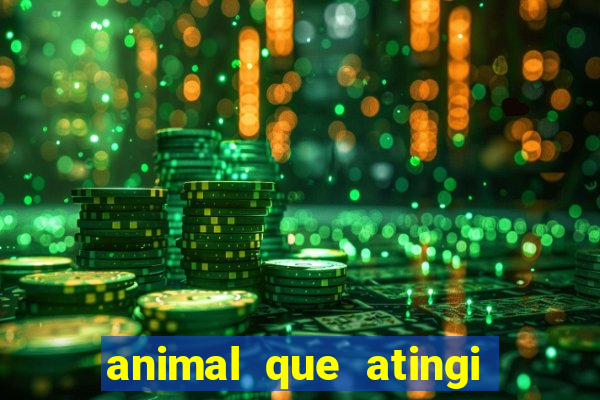 animal que atingi 230 decibeis