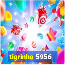 tigrinho 5956