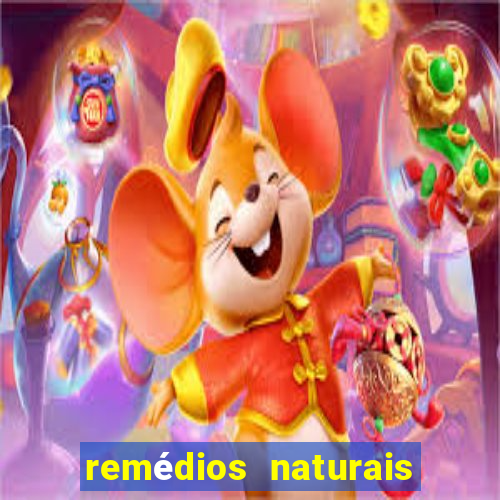 remédios naturais para diabetes