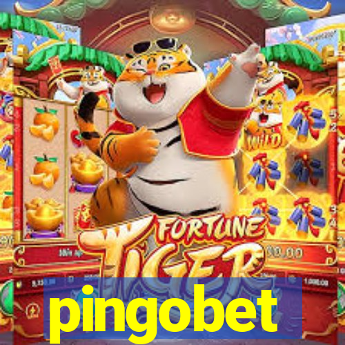 pingobet