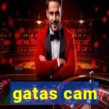 gatas cam