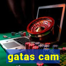 gatas cam