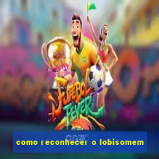 como reconhecer o lobisomem