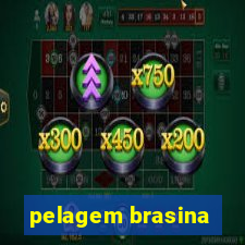 pelagem brasina