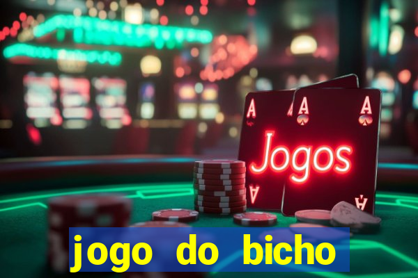 jogo do bicho tipos de apostas