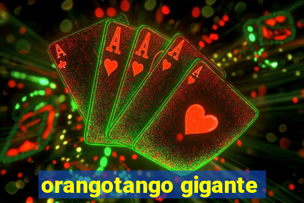 orangotango gigante