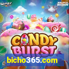 bicho365.com