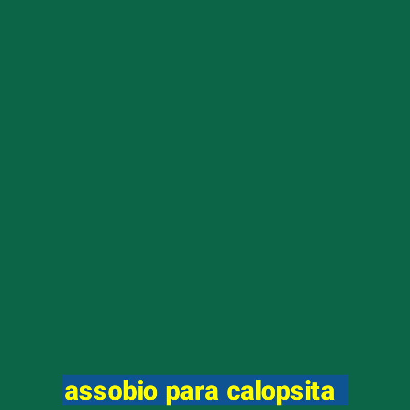 assobio para calopsita