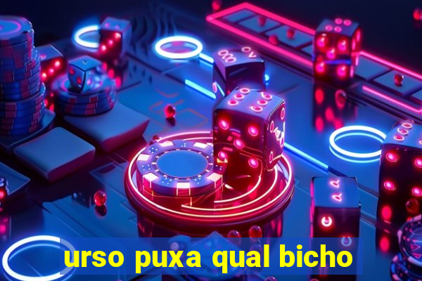 urso puxa qual bicho