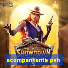 acompanhante pvh