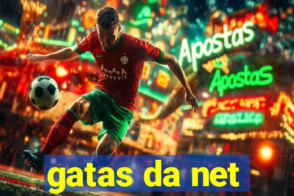 gatas da net