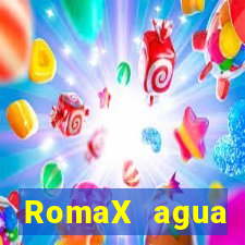 RomaX agua sanitaria fispq agua sanitaria romax