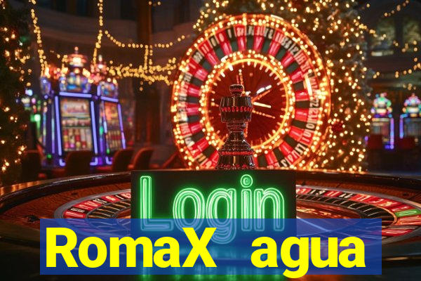 RomaX agua sanitaria fispq agua sanitaria romax