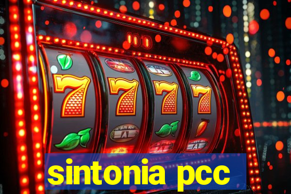 sintonia pcc