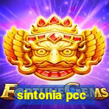 sintonia pcc