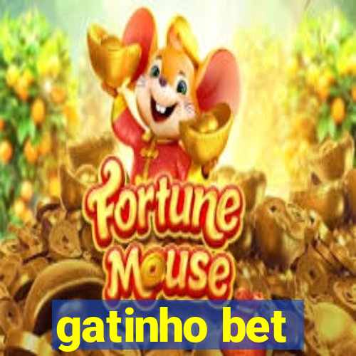 gatinho bet