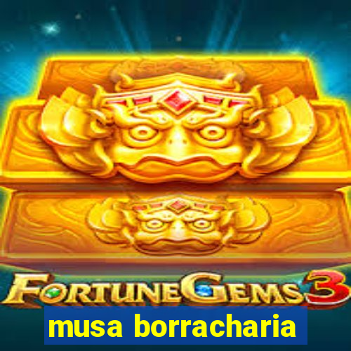 musa borracharia