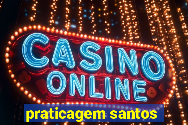 praticagem santos