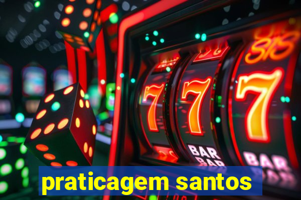 praticagem santos