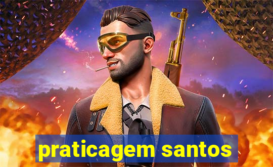 praticagem santos