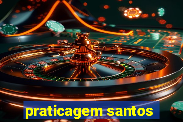 praticagem santos