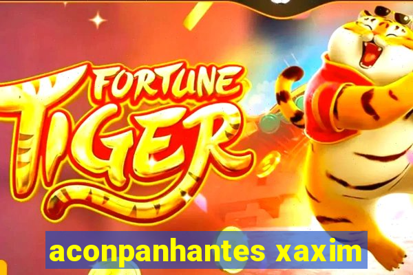 aconpanhantes xaxim