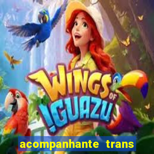 acompanhante trans porto alegre