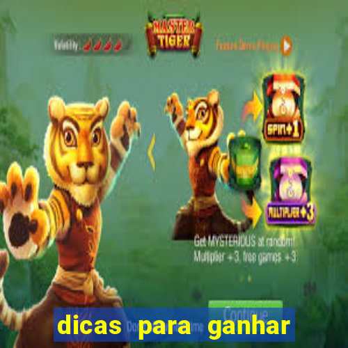 dicas para ganhar no fortune rabbit