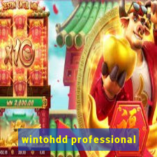 wintohdd professional