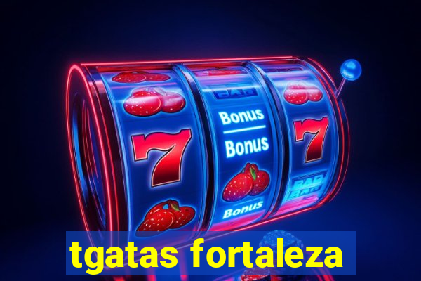 tgatas fortaleza