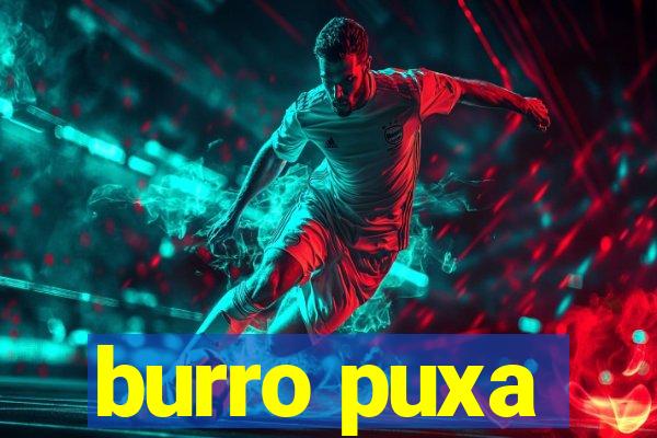 burro puxa