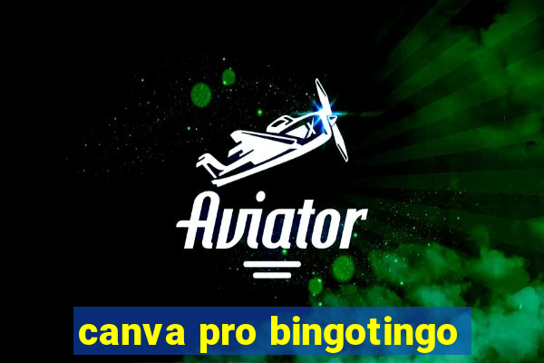 canva pro bingotingo