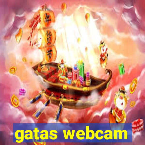 gatas webcam