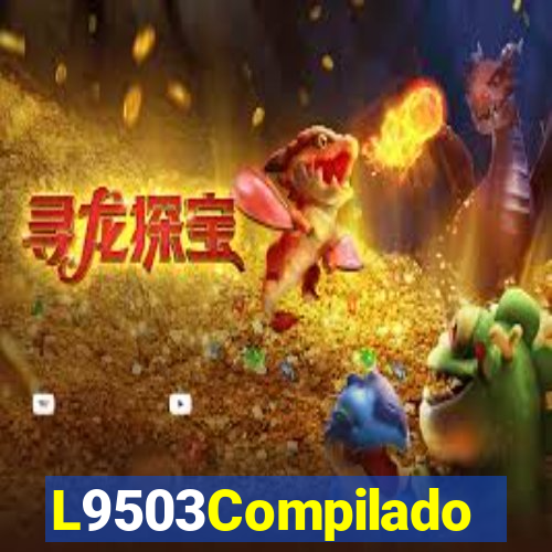 L9503Compilado